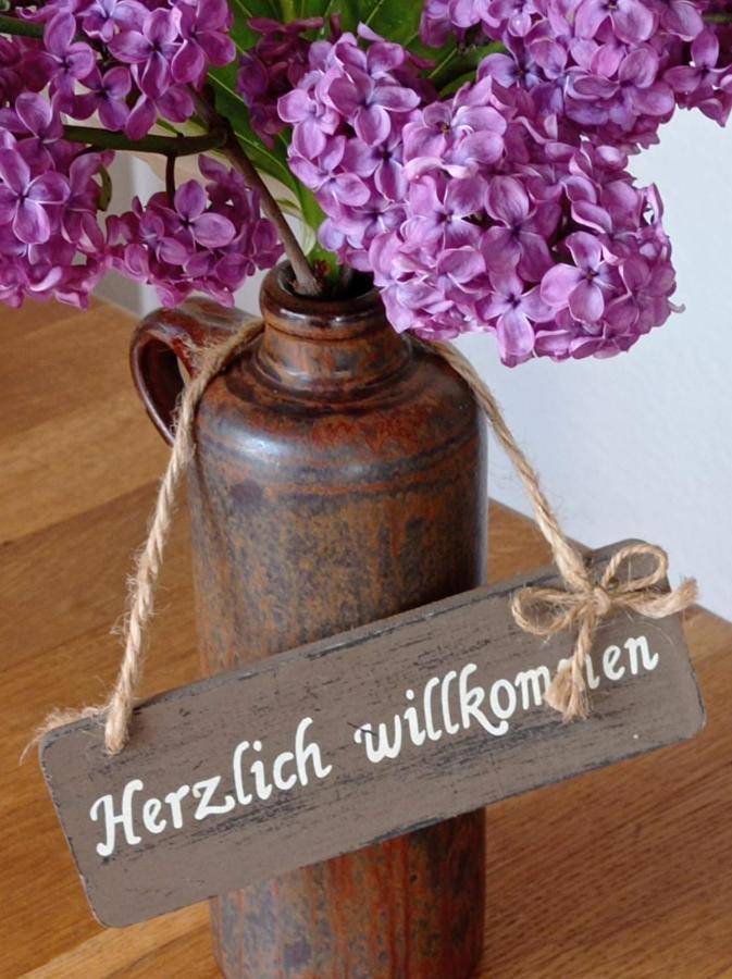 Ferienwohnung Sauerland Burgfenster Lennestadt Εξωτερικό φωτογραφία