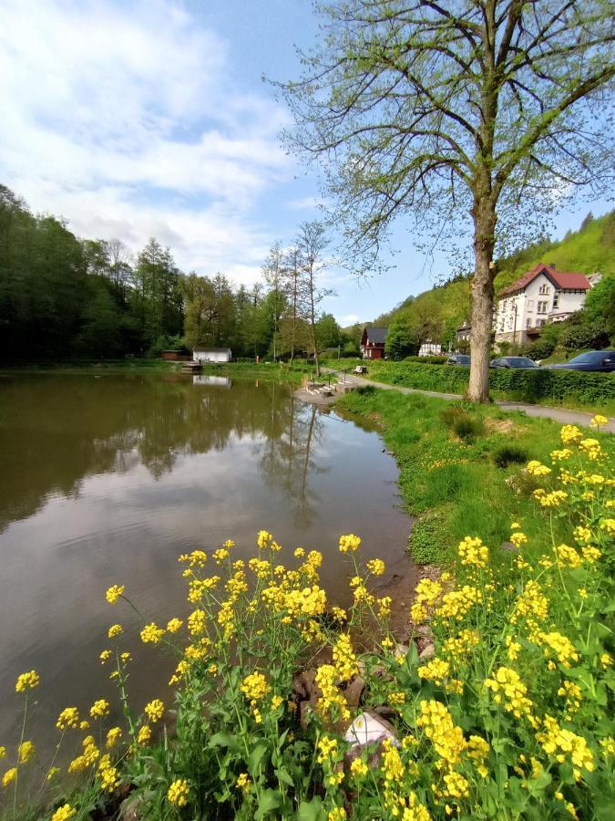 Ferienwohnung Sauerland Burgfenster Lennestadt Εξωτερικό φωτογραφία