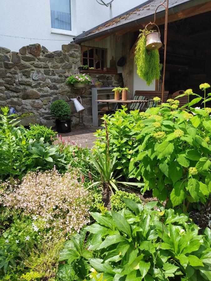 Ferienwohnung Sauerland Burgfenster Lennestadt Εξωτερικό φωτογραφία