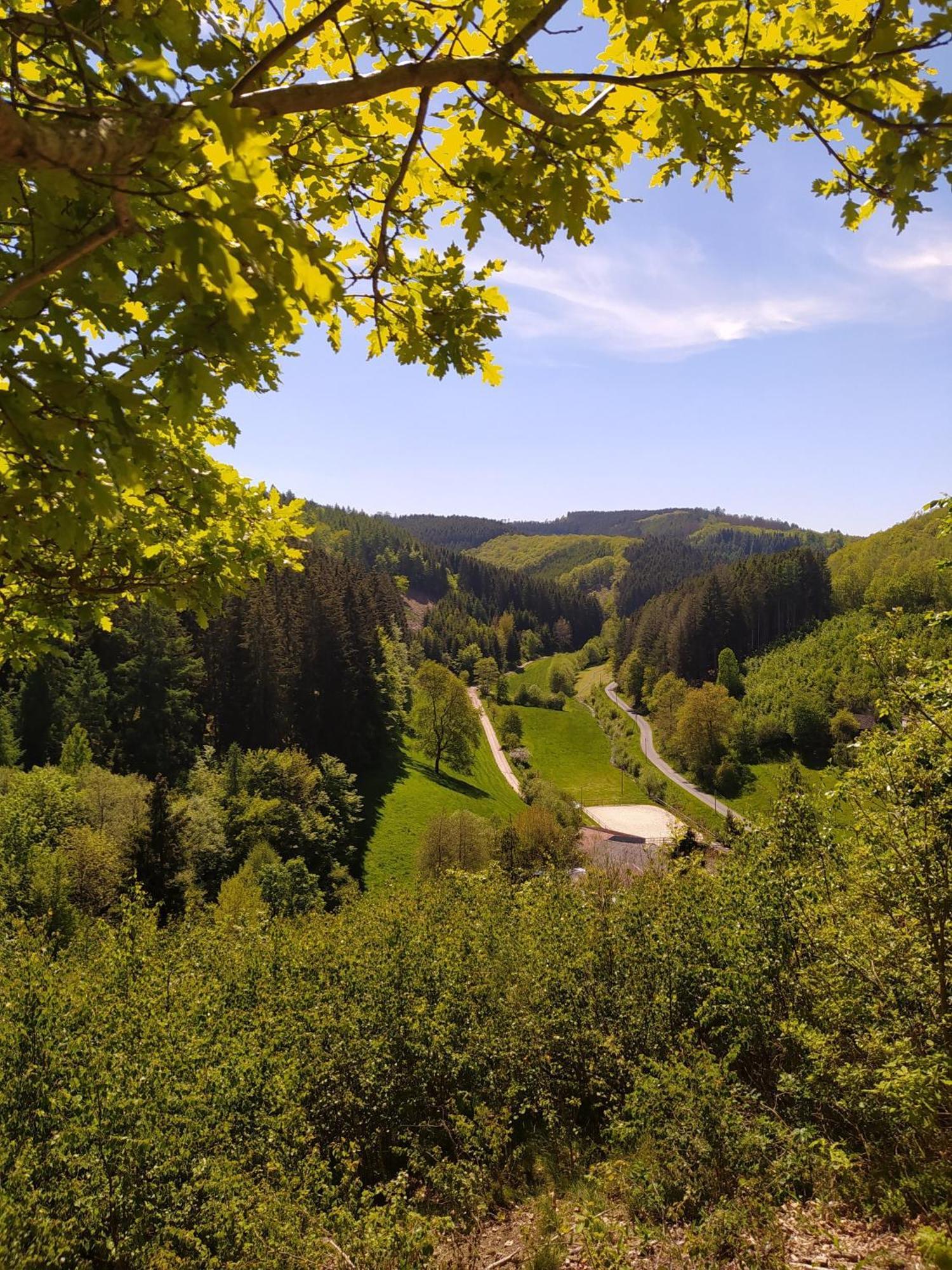 Ferienwohnung Sauerland Burgfenster Lennestadt Εξωτερικό φωτογραφία